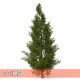 Cedarwood-Red-維吉尼雅雪松 Cedarwood-Red-維吉尼雅雪松